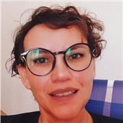 Profesor de Historia y materias afines ayudo a quienes lo necesiten por la mañana